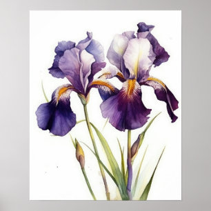Lila Iris Blume Art Print Poster