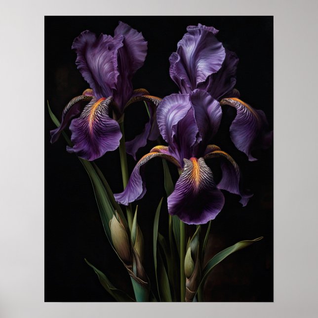 Lila Iris Blume Art Print Poster (Vorne)