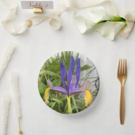 Lila Iris Blume Außenbereich Garten Natur Foto Pappteller