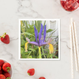 Lila Iris Blume Außenbereich Garten Natur Foto Serviette