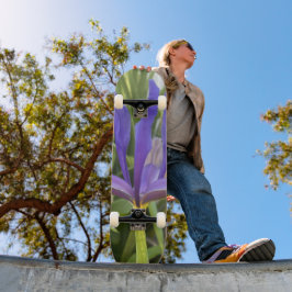 Lila Iris Blume Außenbereich Garten Natur Foto Skateboard