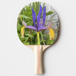 Lila Iris Blume Außenbereich Garten Natur Foto Tischtennis Schläger