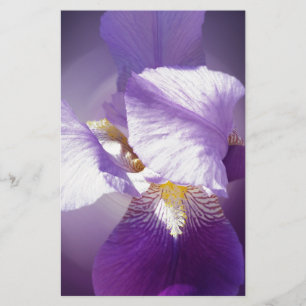 lila Iris-Blume Briefpapier