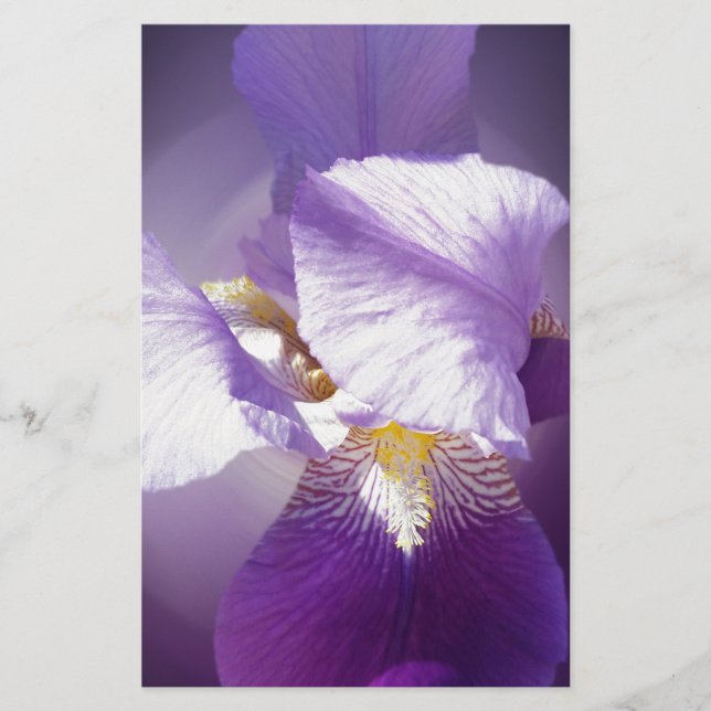 lila Iris-Blume Briefpapier (Vorderseite)