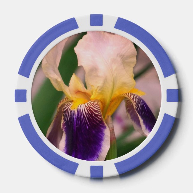 Lila Iris Blume Foto Clay Poker Chips (Vorderseite)