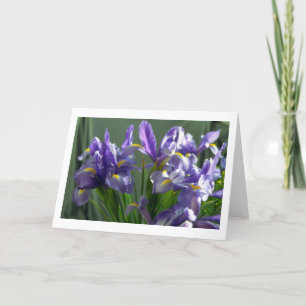 Lila Iris Blume Foto Grußkarte Karte