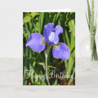 Lila Iris-Blume Geburtstagskarte