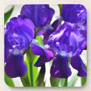 Lila Iris-Blume Getränkeuntersetzer