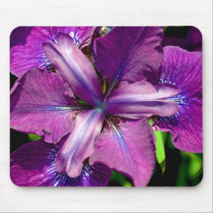 Lila Iris-Blume Mousepad