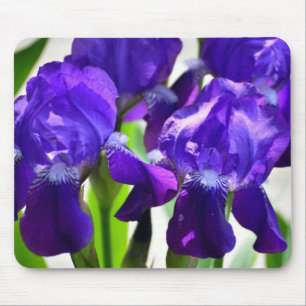Lila Iris-Blume Mousepad