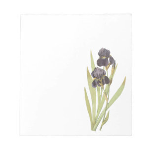 Lila Iris-Blume Notizblock