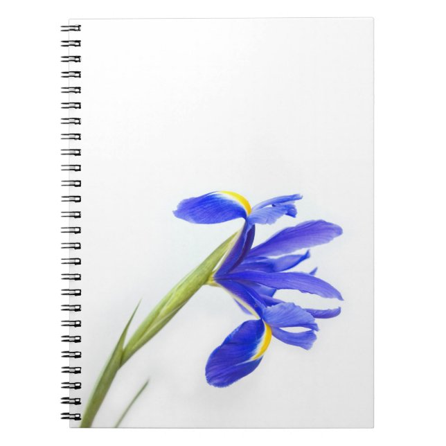 Lila Iris-Blume Notizblock (Vorderseite)