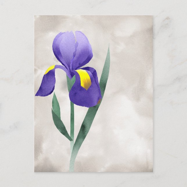 lila Iris-Blume Postkarte (Vorderseite)