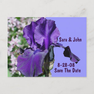 Lila Iris-Blume Save the Date, die Postkarte