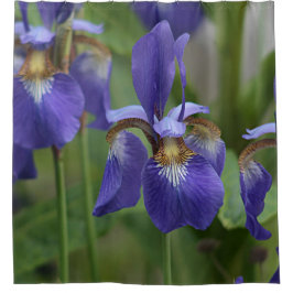 Lila Iris-Blumen Duschvorhang