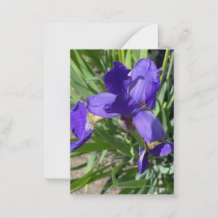Lila-Iris-Blumenfotografie Mitteilungskarte