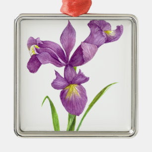 Lila Iris Botanische Blumenart Ornament Aus Metall