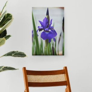 Lila Iris Botanische Fotografische Blumen- Leinwanddruck
