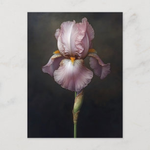 Lila Iris botanische Malerei Postkarte