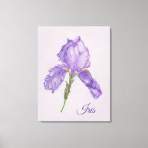Lila Iris, botanischer Stil, farbige Stilkunst