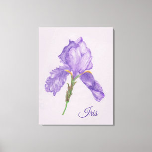 Lila Iris, botanischer Stil, farbige Stilkunst Leinwanddruck