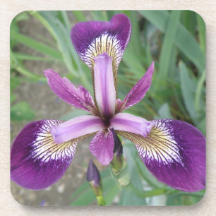 Lila Iris Cork Untersetzer