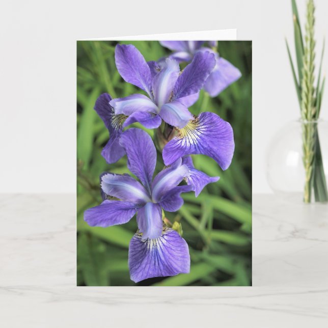 Lila Iris Dankeskarte (Vorderseite)