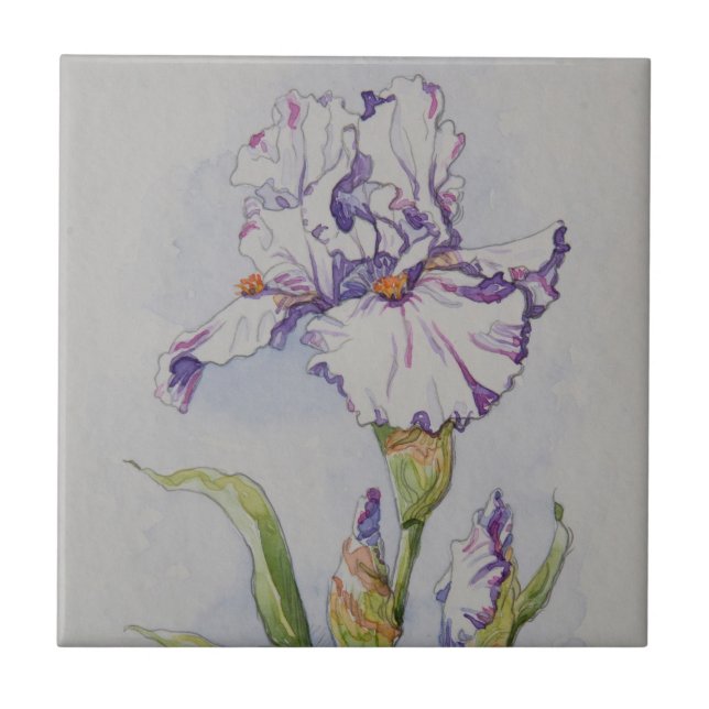 Lila Iris des Streifen-5340 Fliese (Vorderseite)