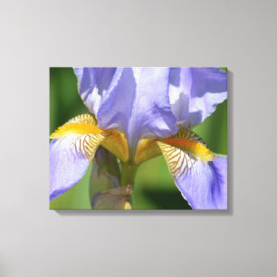 Lila Iris Floralphotography Leinwanddruck