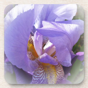 lila Iris Getränkeuntersetzer