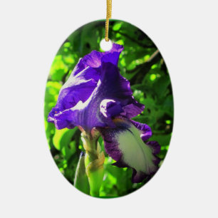 Lila Iris im Sommer Keramikornament