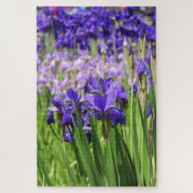 Lila Iris in Bloom, Elizabeth Park Gardens Puzzle (Vertikal)