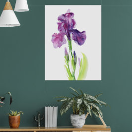 Lila Iris in leichter Aquarelltechnik Poster