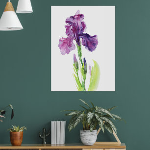 Lila Iris in leichter Aquarelltechnik Poster