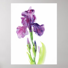 Lila Iris in leichter Aquarelltechnik Poster
