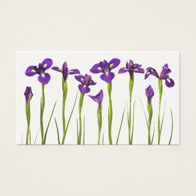 Lila Iris - Iris-Blume - angepasste Vorlage (Vorderseite)