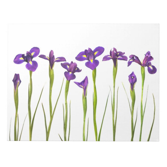 Lila Iris - Iris-Blume - angepasste Vorlage Notizblock (Vorderseite)