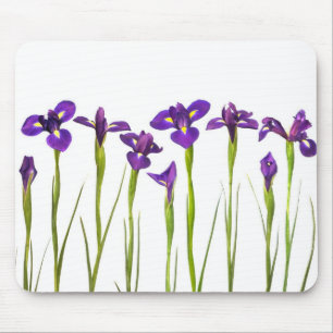 Lila Iris - Iris-Blume kundengebundene Schablone Mousepad