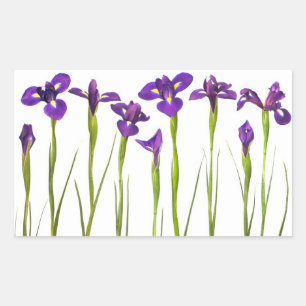 Lila Iris - Iris-Blume kundengebundene Schablone Rechteckiger Aufkleber