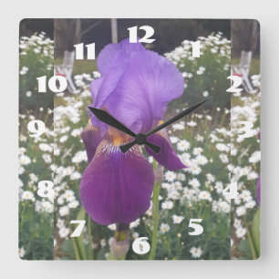 Lila Iris Irises White Daisy Garden Blume Quadratische Wanduhr