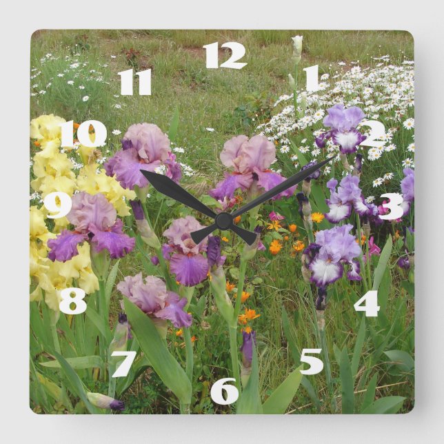 Lila Iris Irises White Daisy Garden Blume Quadratische Wanduhr (Vorderseite)