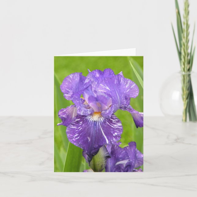 Lila Iris Karte (Vorderseite)
