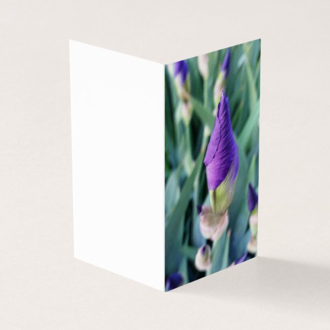 lila Iris-Knoten (Vorderseite)