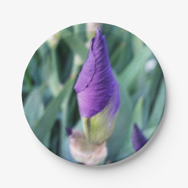 lila Iris-Knoten Pappteller (Vorderseite)