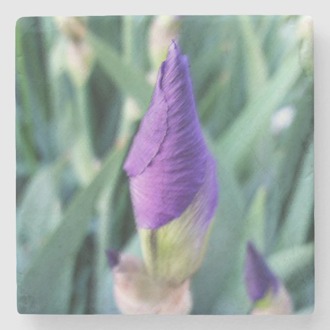 lila Iris-Knoten Steinuntersetzer (Vorderseite)