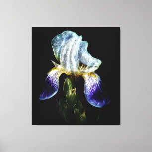 Lila Iris Leinwanddruck