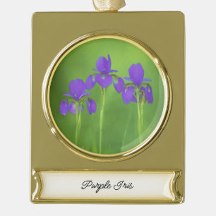 Lila Iris-Malerei - Original Blume Kunst Banner-Ornament Gold