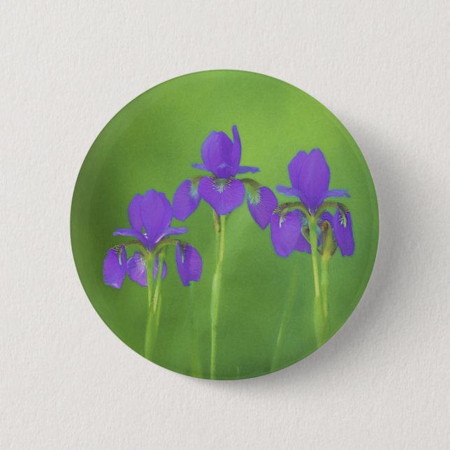 Lila Iris-Malerei - Original Blume Kunst Button (Vorderseite)