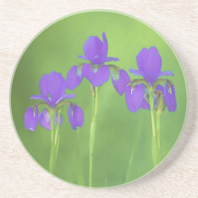 Lila Iris-Malerei - Original Blume Kunst Getränkeuntersetzer (Vorne)