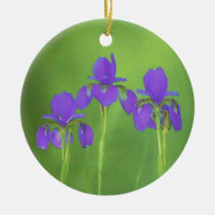 Lila Iris-Malerei - Original Blume Kunst Keramik Ornament